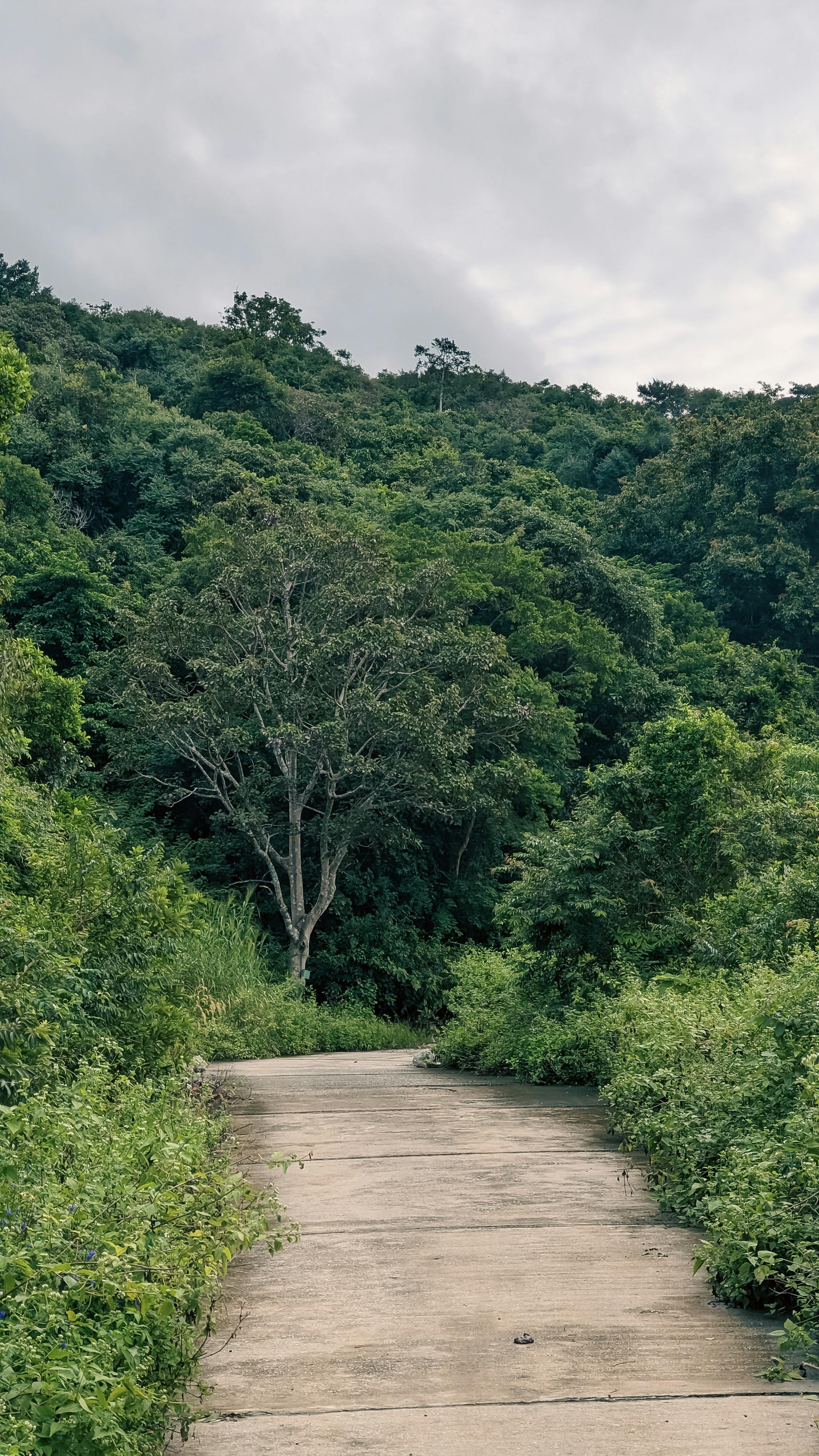 Trung tâm nghiên cứu văn học, phát triển nhà văn Việt Nam