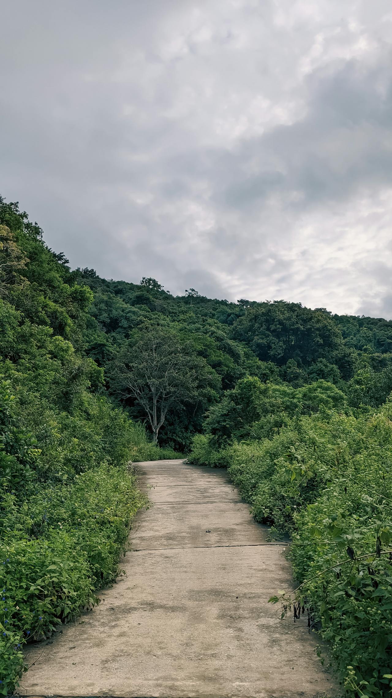 Ngủ 4 giờ vẫn mang lợi ích thể chất tinh thần