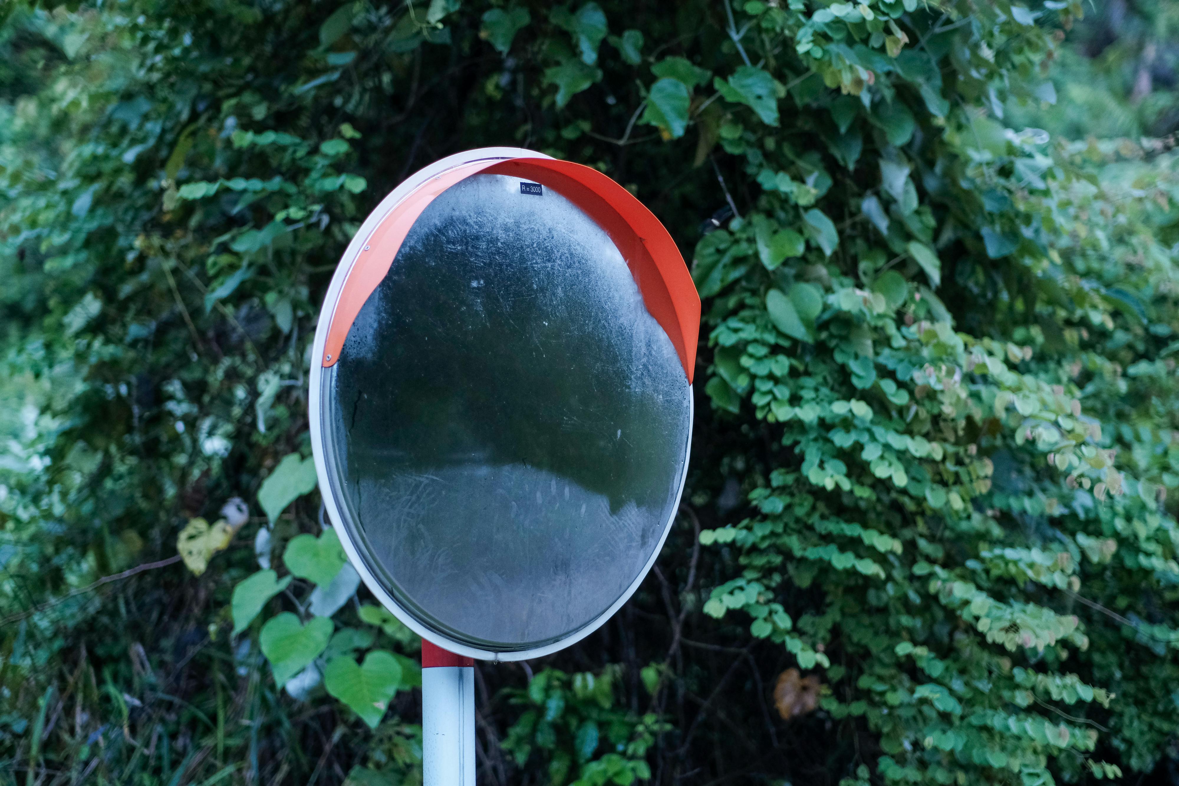 Niên lịch miền gió cát | Lời nói đầu 928 – aldo leopold, nien lich mien gio cat, thu vien, o nhiem moi truong, moi truong, anti plastic.