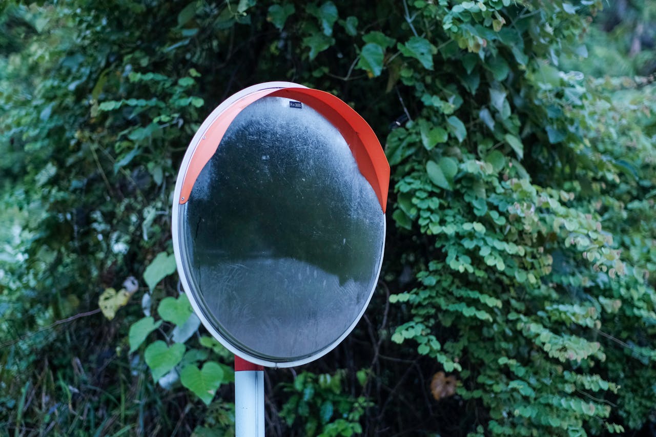 Cách làm hoa khô tại nhà đơn giản