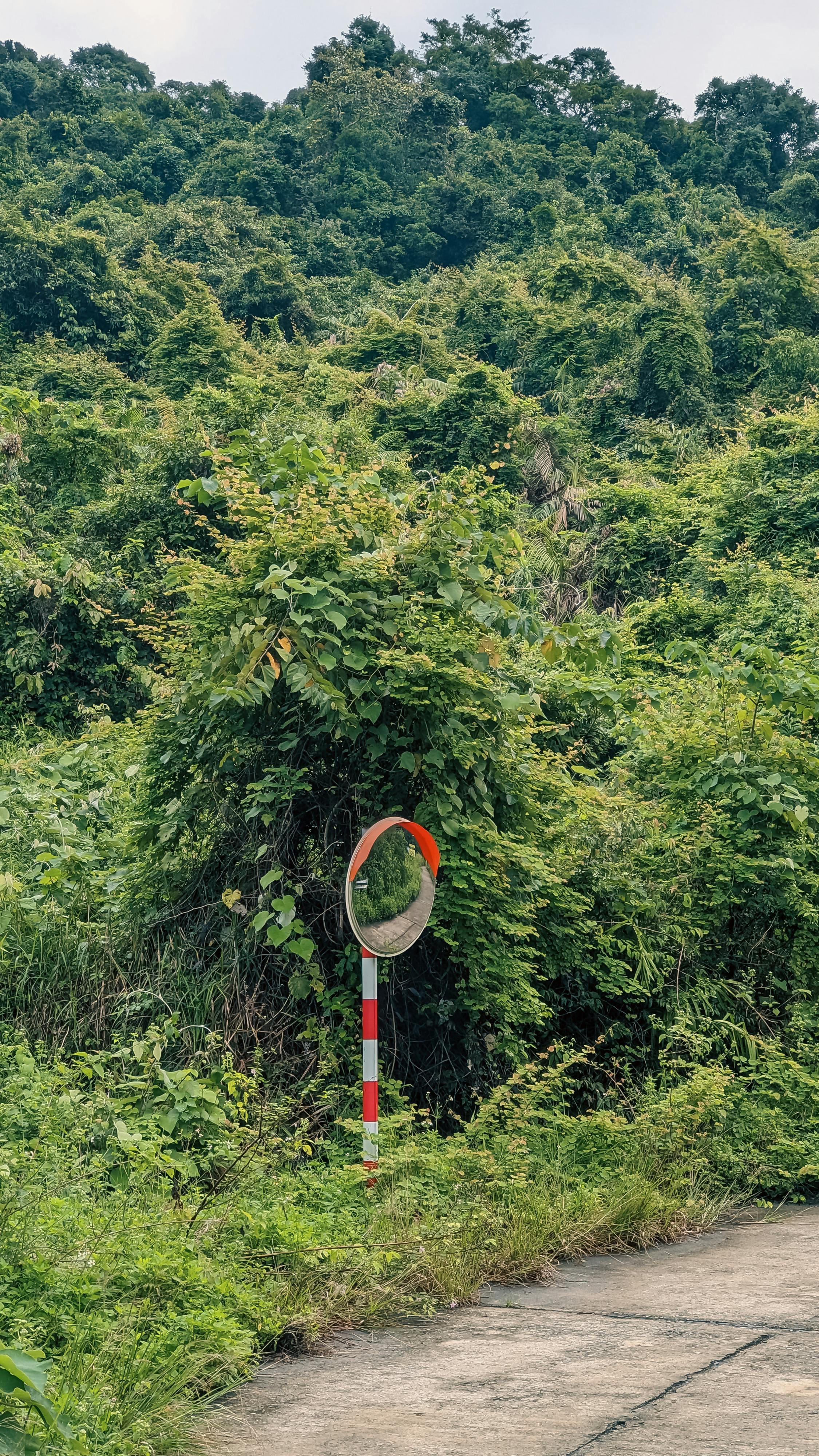 Nhân vật trong viết lách là gì? 453 – viet lach, ky nang viet, cai thien ky nang viet lach, lam chu nghe thuat viet lach, hanh trinh viet, writing process, nhan vat, cot truyen, nhan vat viet lach.