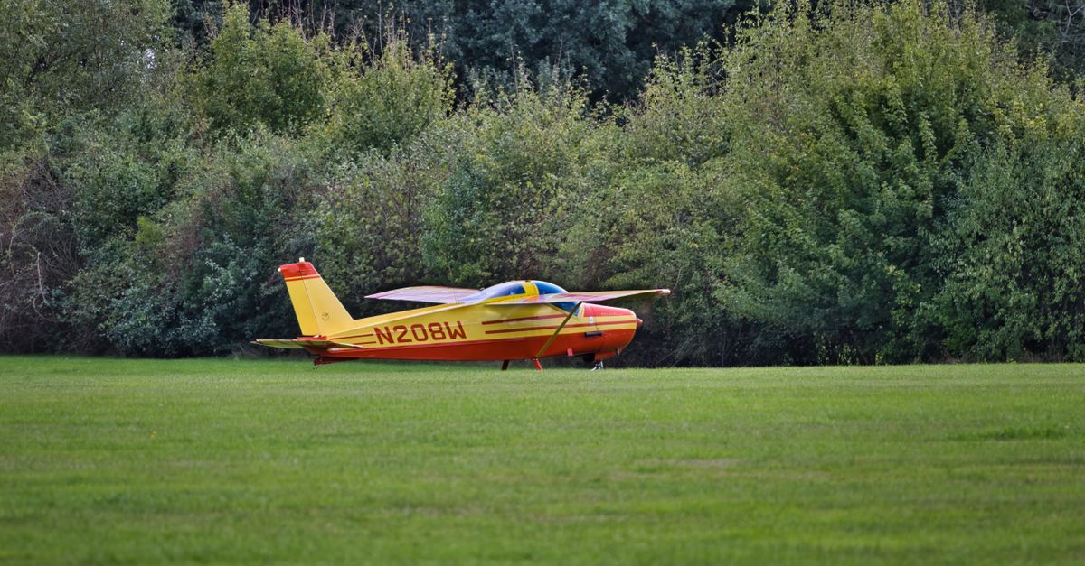 A vibrant red and yellow airplane on a grassy field surrounded by trees.