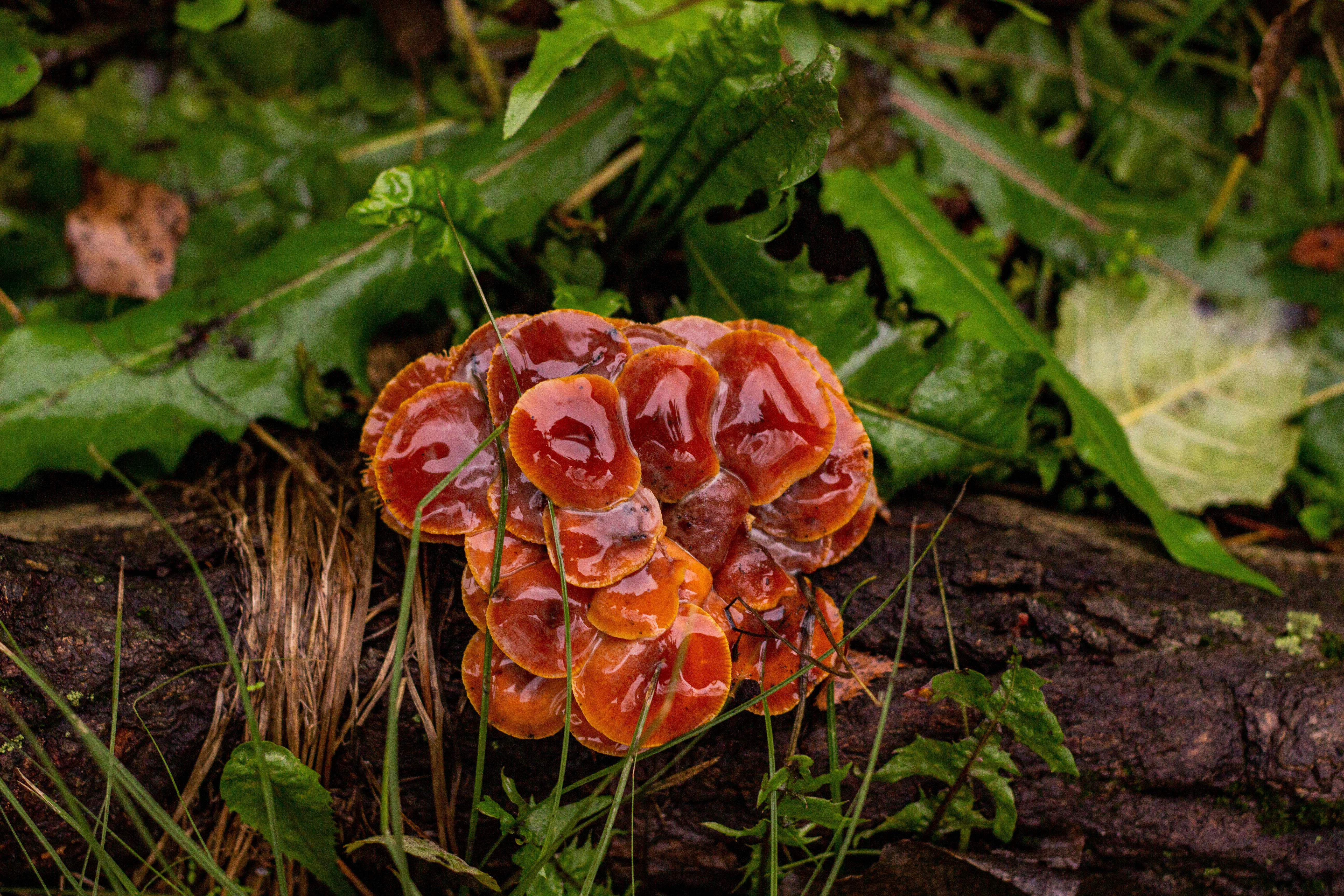 生活：要降溫了！全台變天轉雨時間最新預報出爐