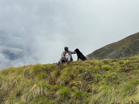 优化后的句子为：“单独”