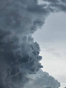 好的，我会按照您的要求进行句子优化