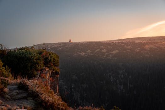 好的，我会按照您的要求进行句子的优化
