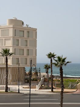 在晴朗的日子，现代建筑与棕榈树位于海洋附近