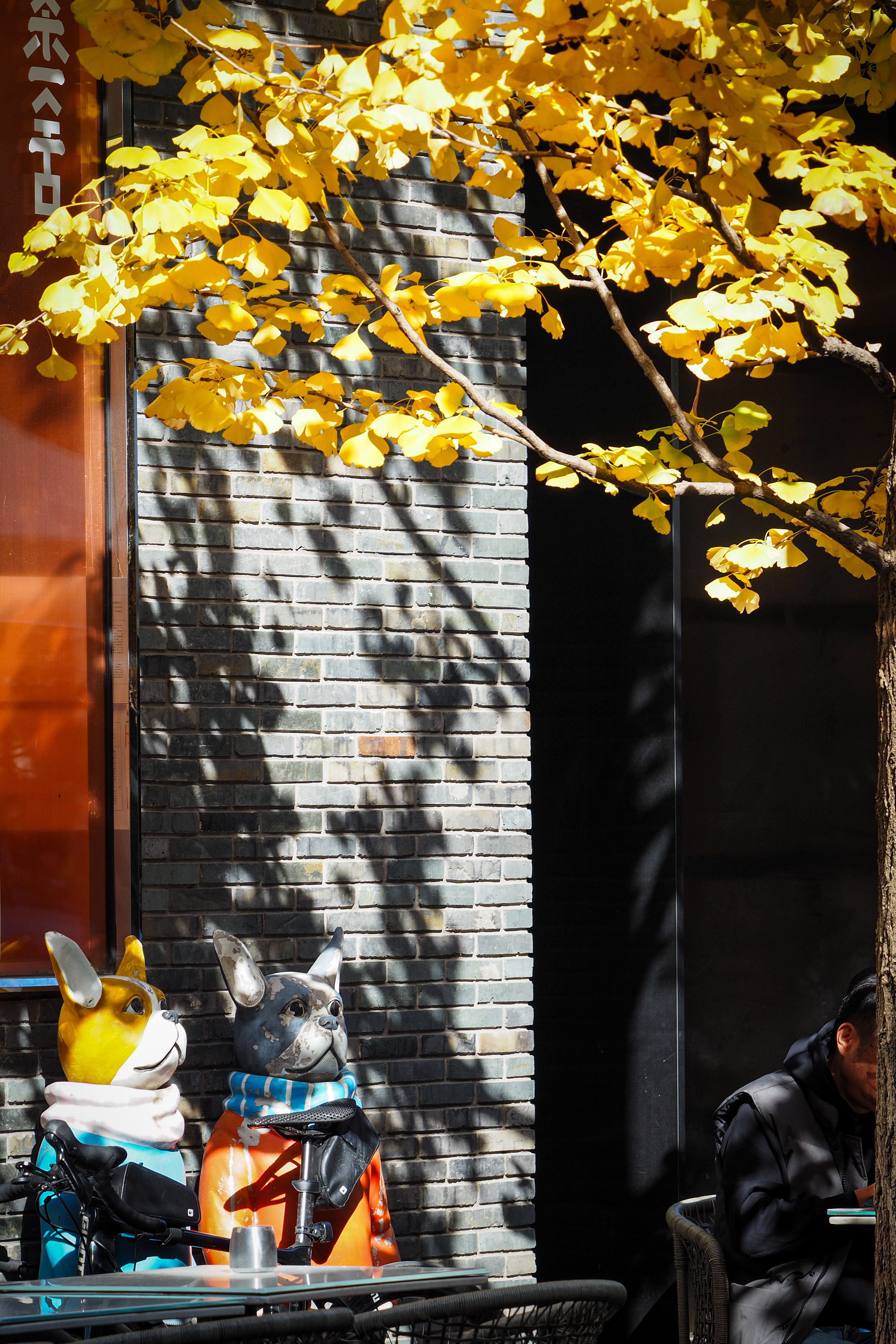 Whimsical dog sculptures in autumn setting. Urban artistic vibe.