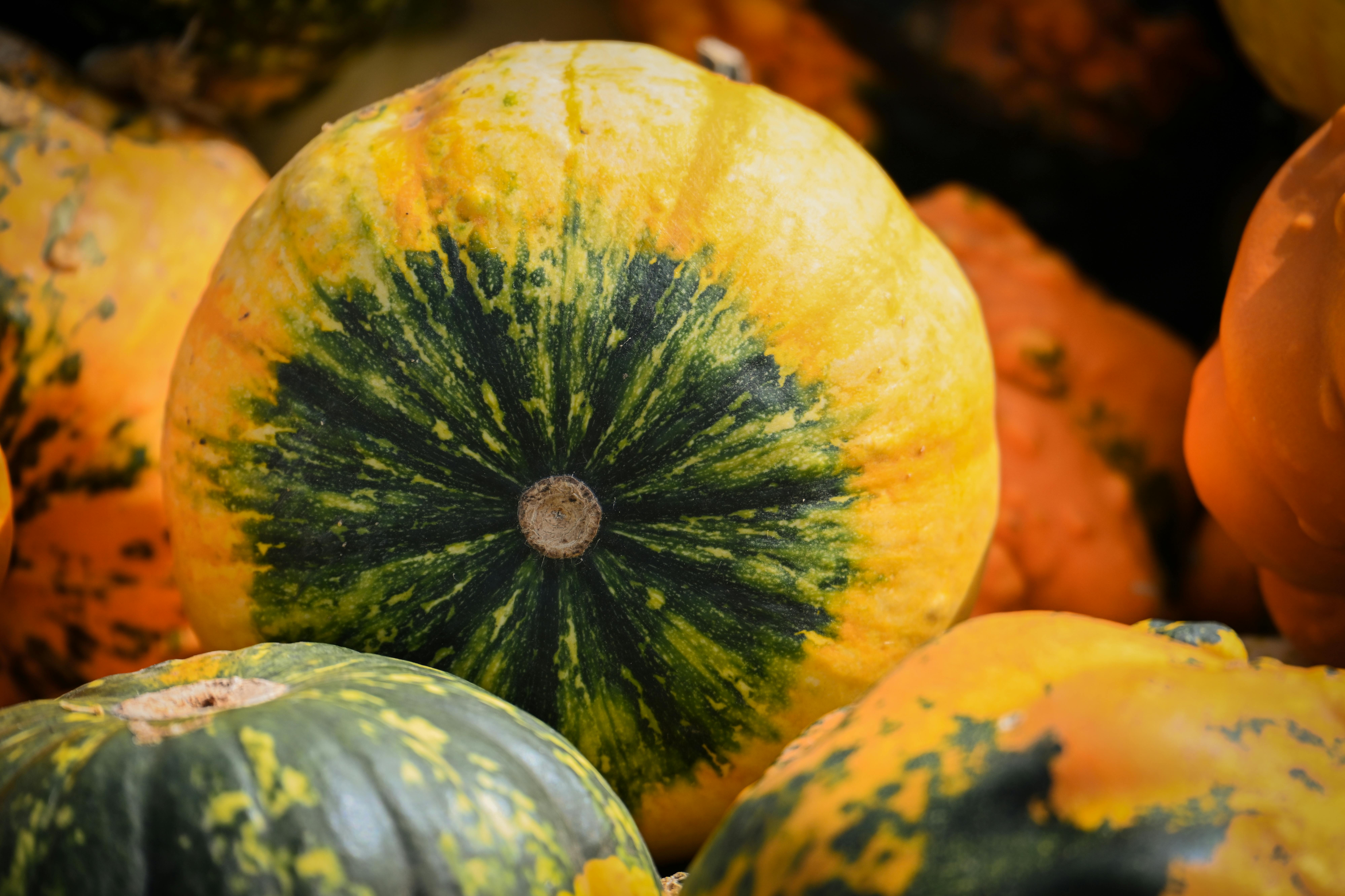 Culinary Revolution and Emerging Flavors