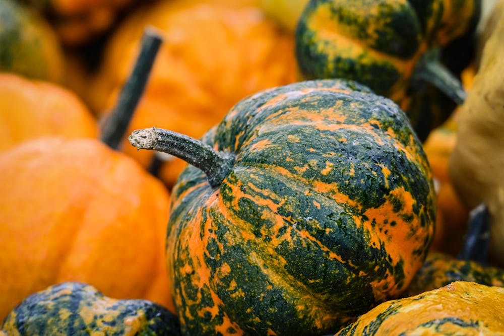 Pumpkin Patch Brownies