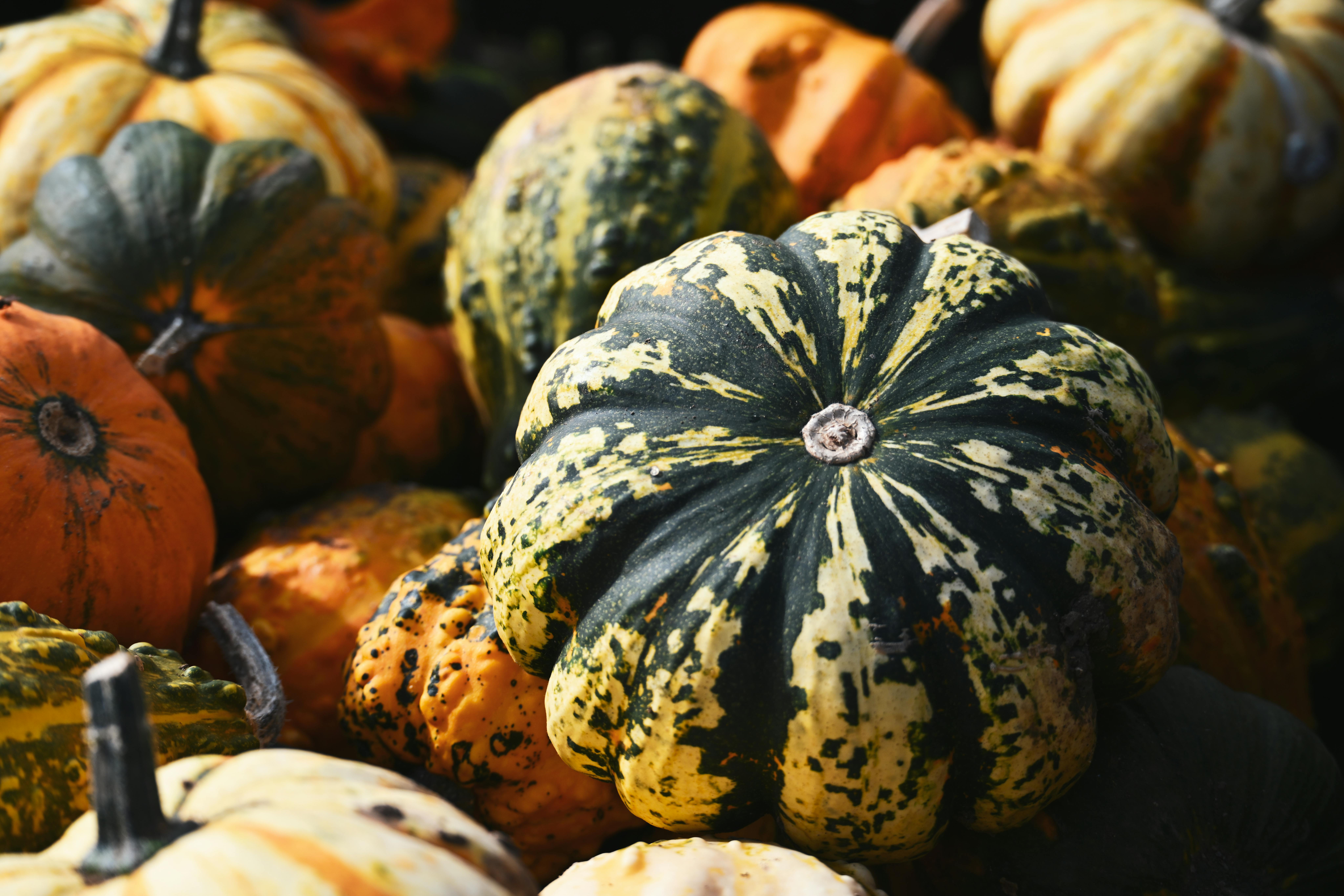 10月11日財經五大焦點搶先看，掌握最新市場趨勢