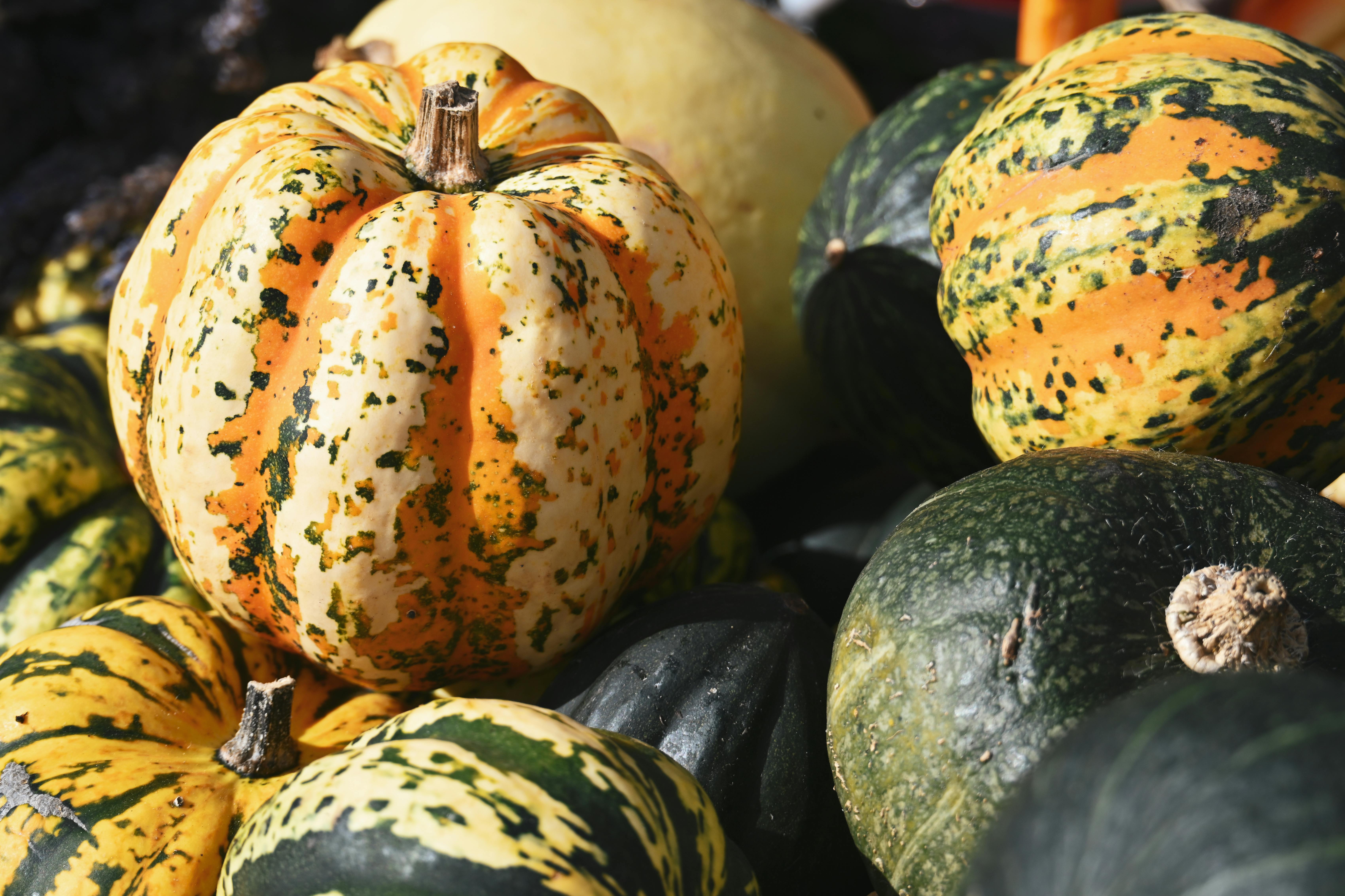 10月11日財經五大焦點搶先看，掌握最新市場趨勢