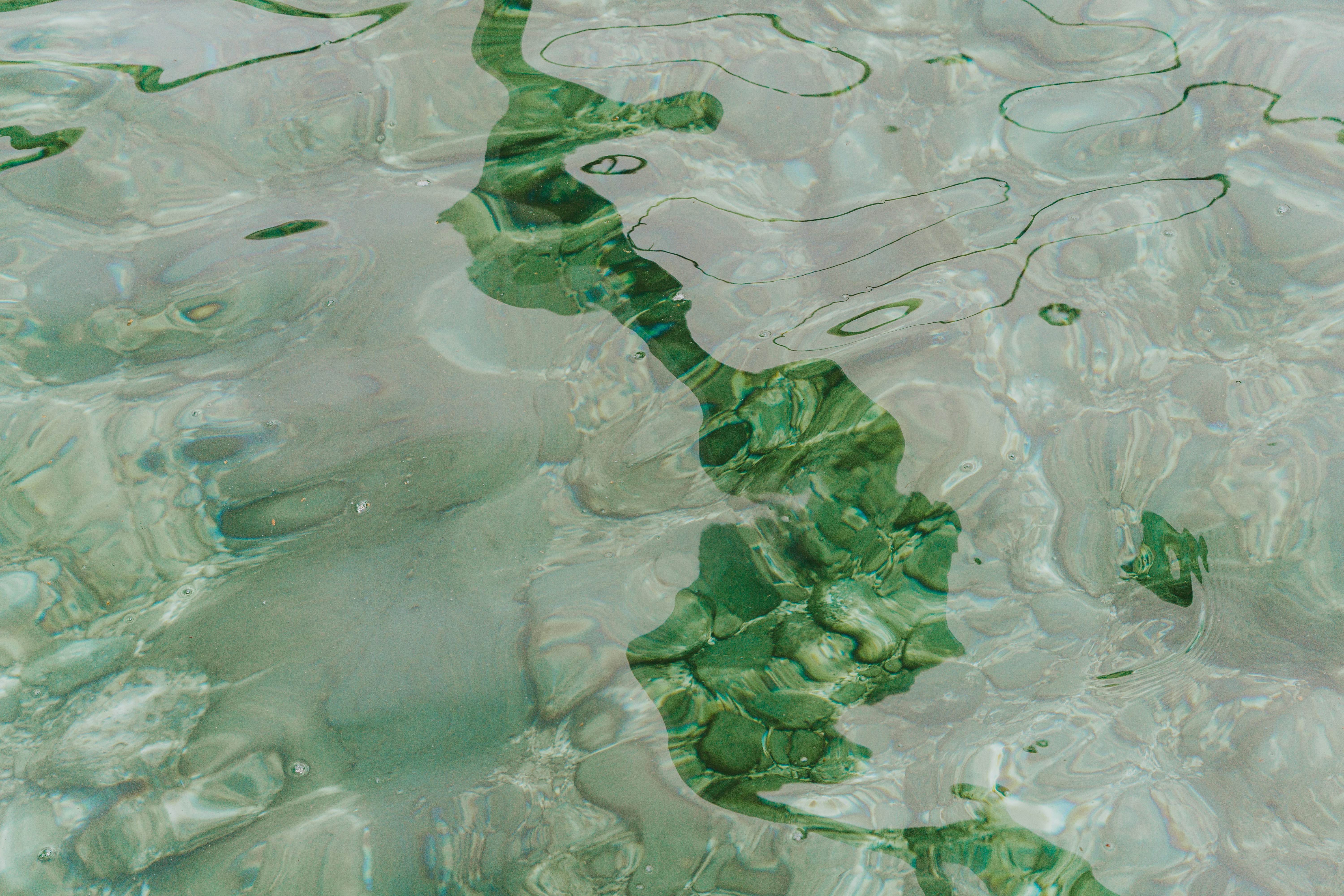 財經：泡泡瑪特中線投資價值解析：只要肯「坐」穩獲利可期