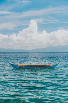 好的，我会按照您的要求对您提供的句子进行优化