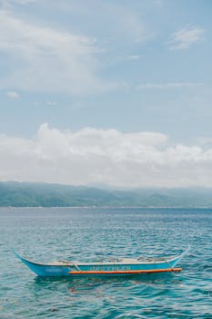 好的，我会按照您的要求进行句子优化