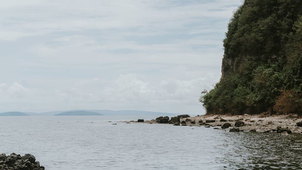 好的，我会根据您的要求进行语句的优化