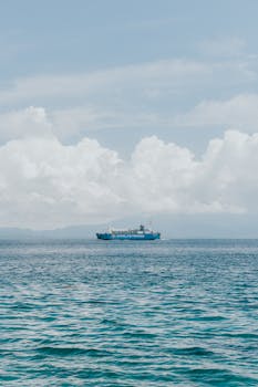 好的，我会按照您的要求进行句子的调整