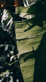 Image by Nothing Ahead