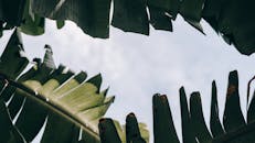 好的，请提供您需要优化的句子