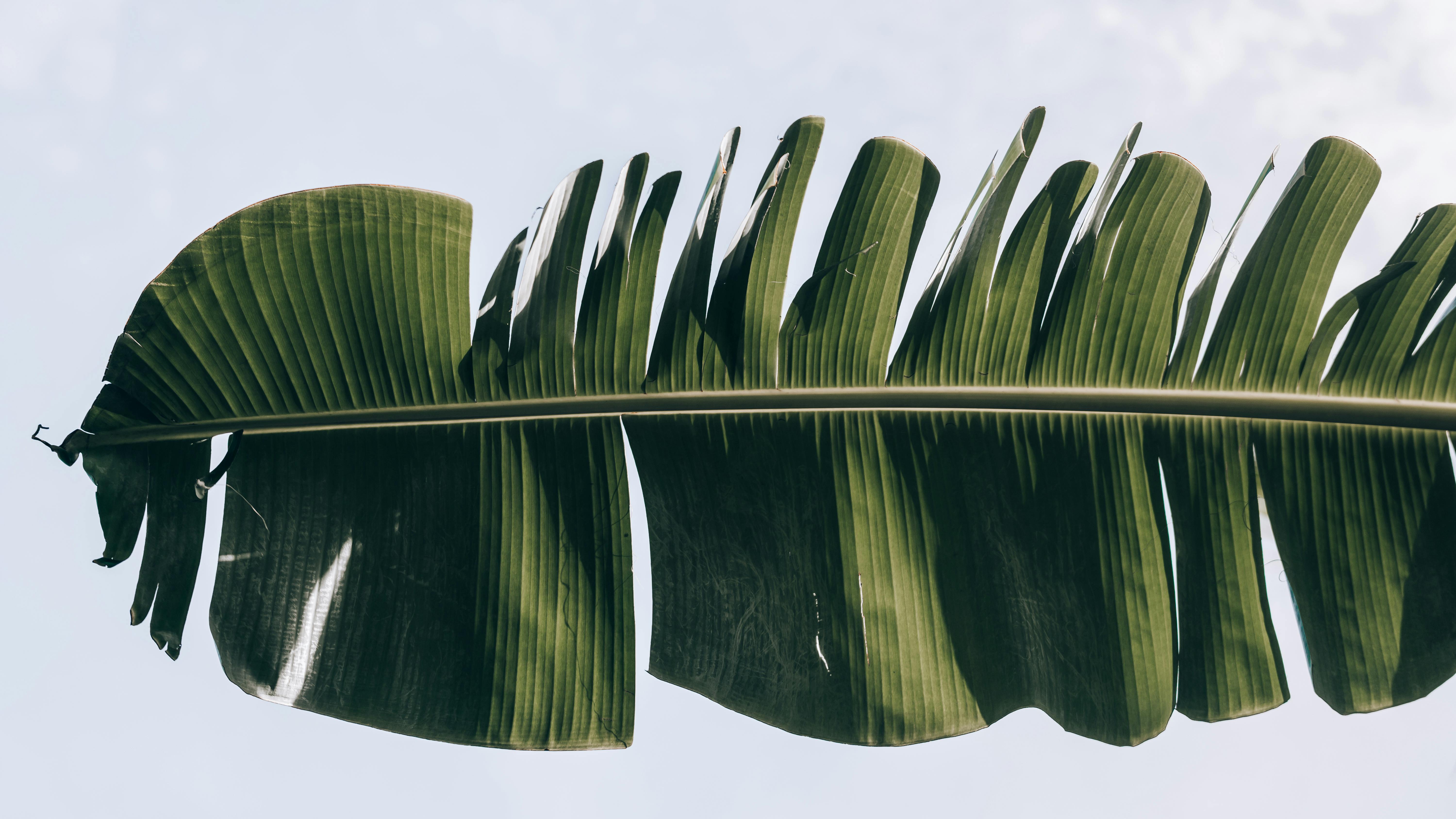 好的，我会按照您的要求进行句子调整