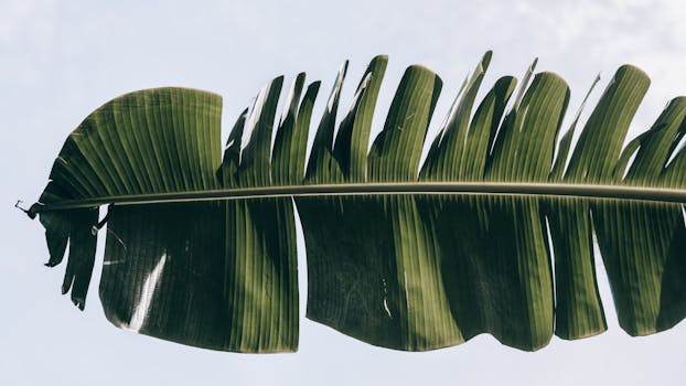 好的，我会按照您的要求进行句子调整