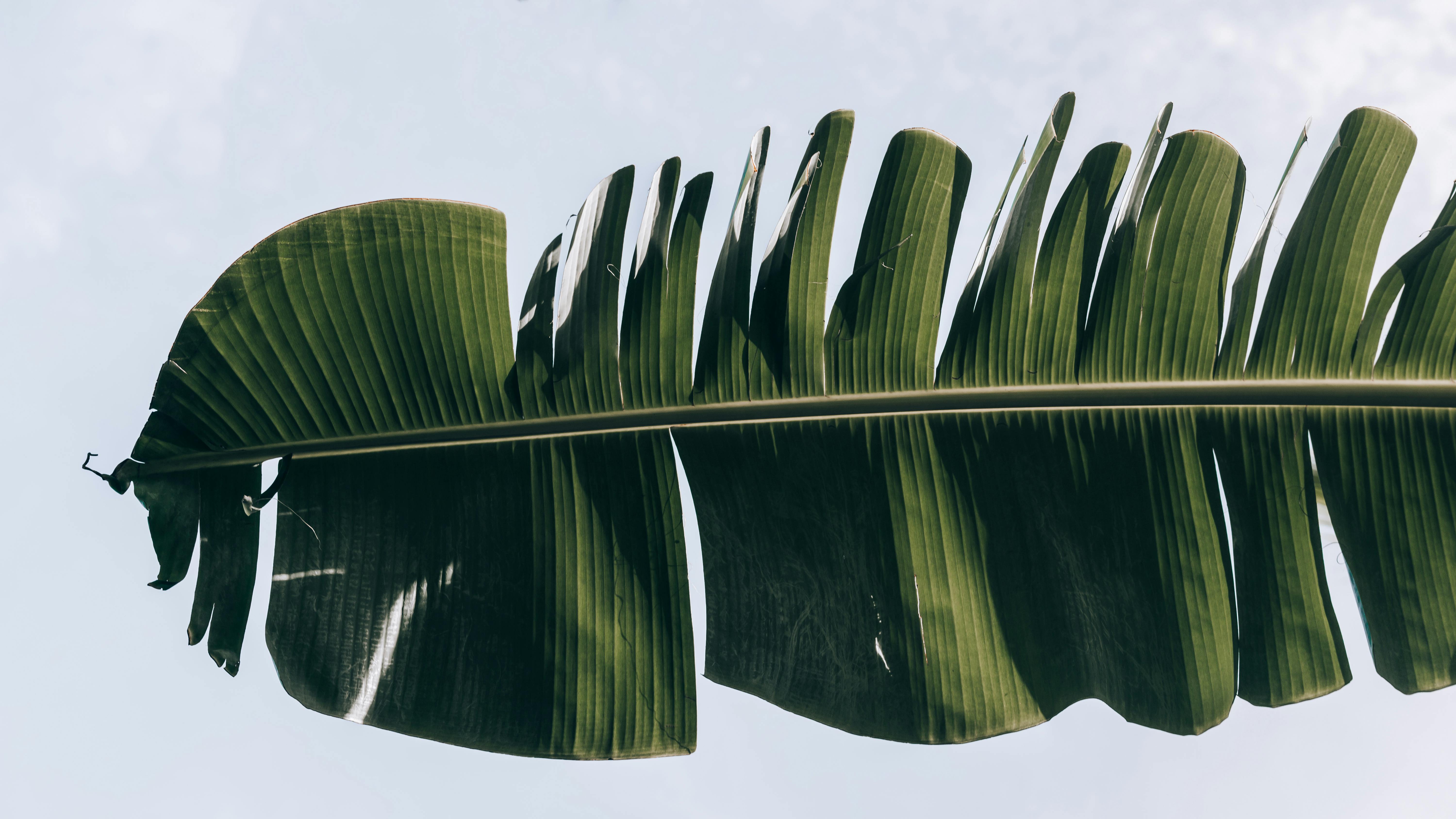 好的，我明白了