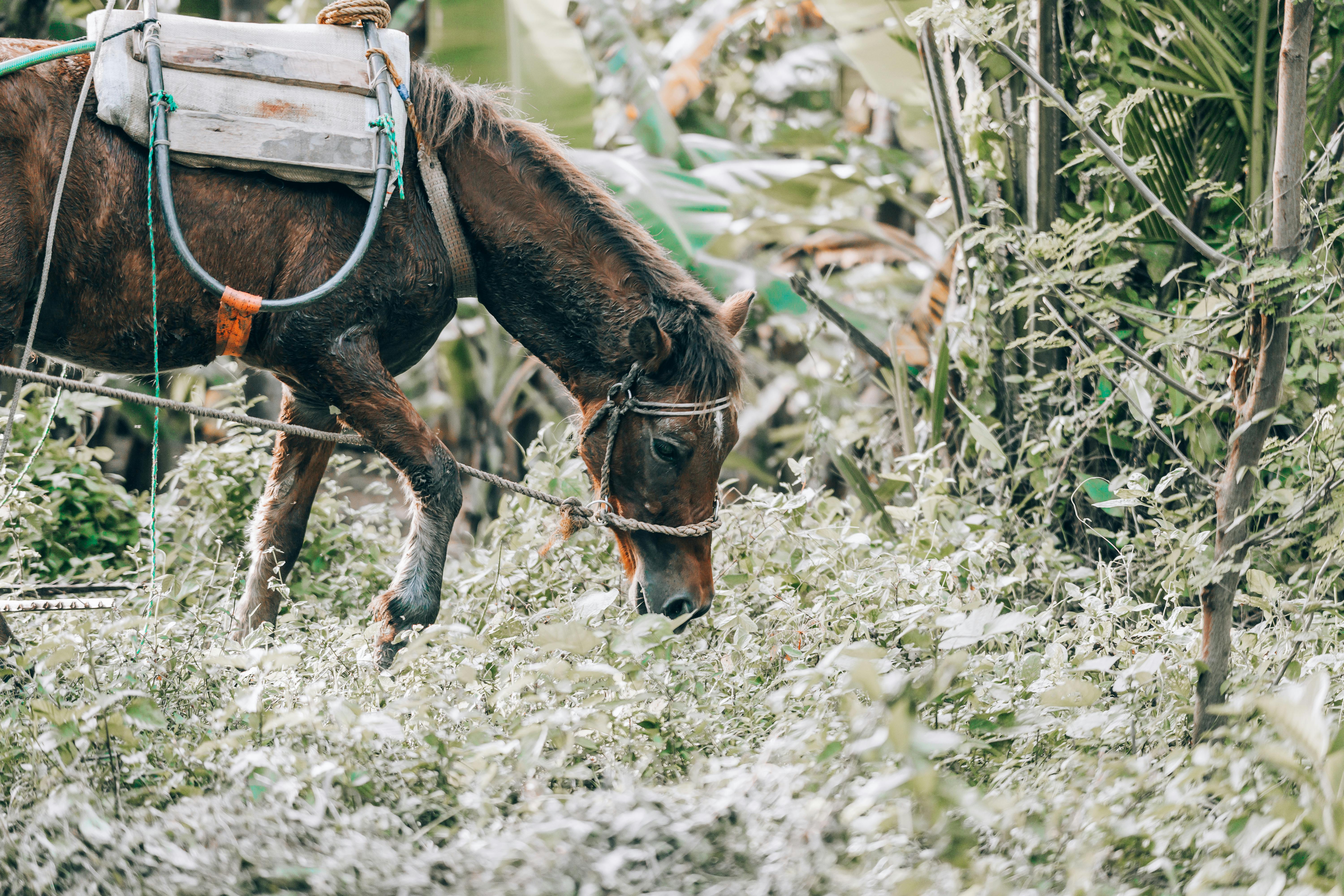 Eco-Friendly Commuting Alternatives for a Greener Future