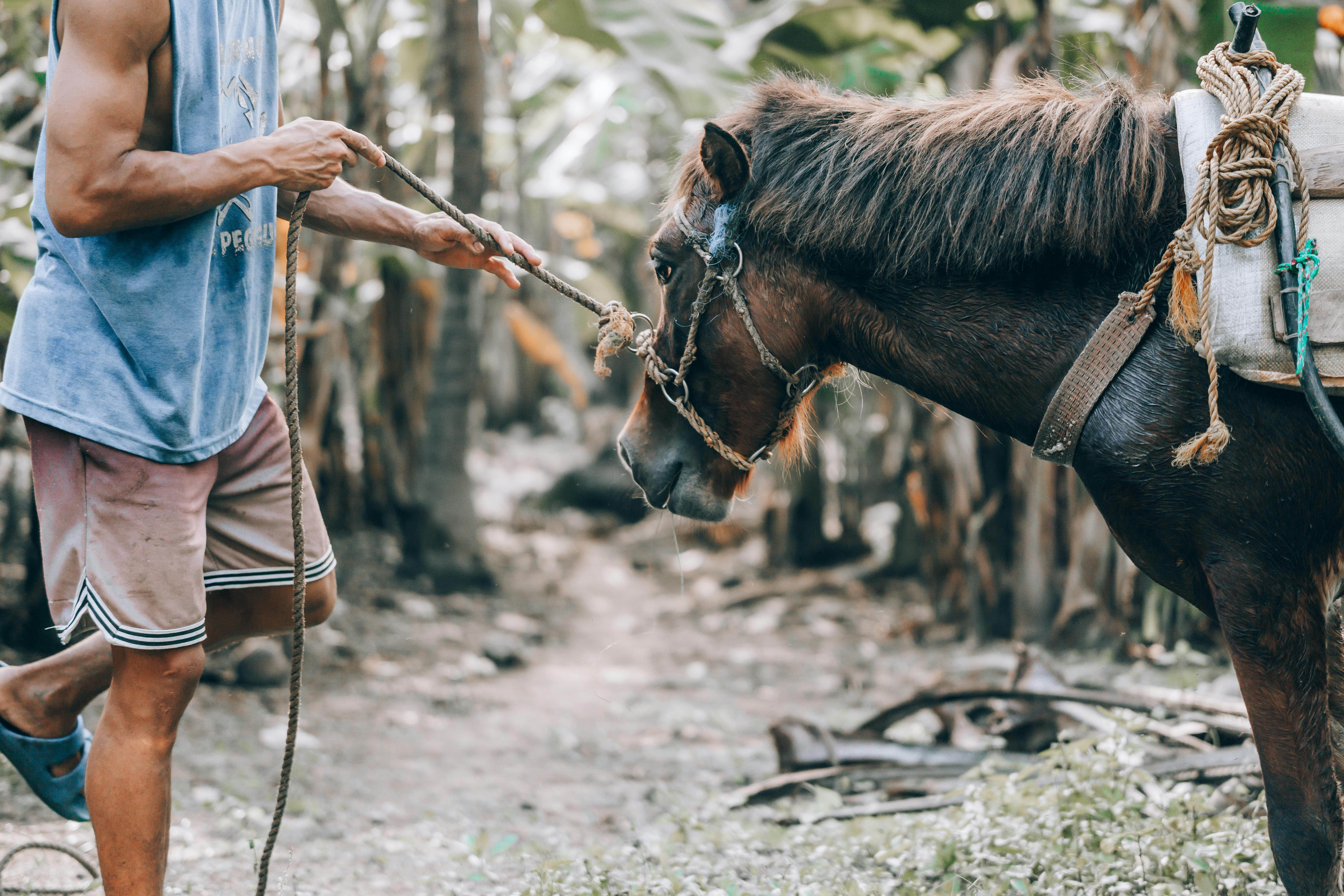 Effective Competitive Strategies and Methods to Gain a Competitive Advantage