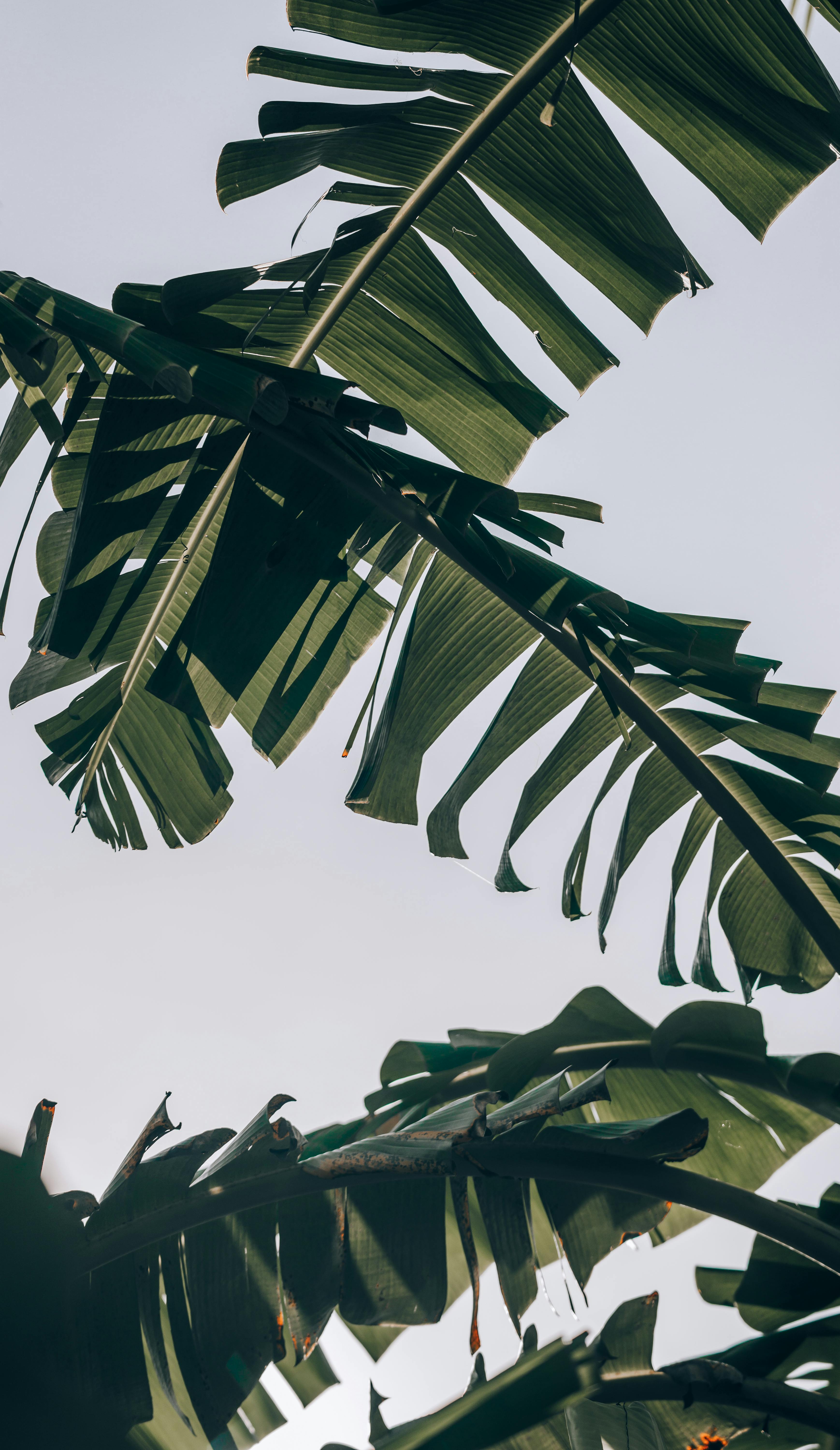 好的，我明白了