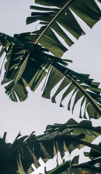 好的，我明白了