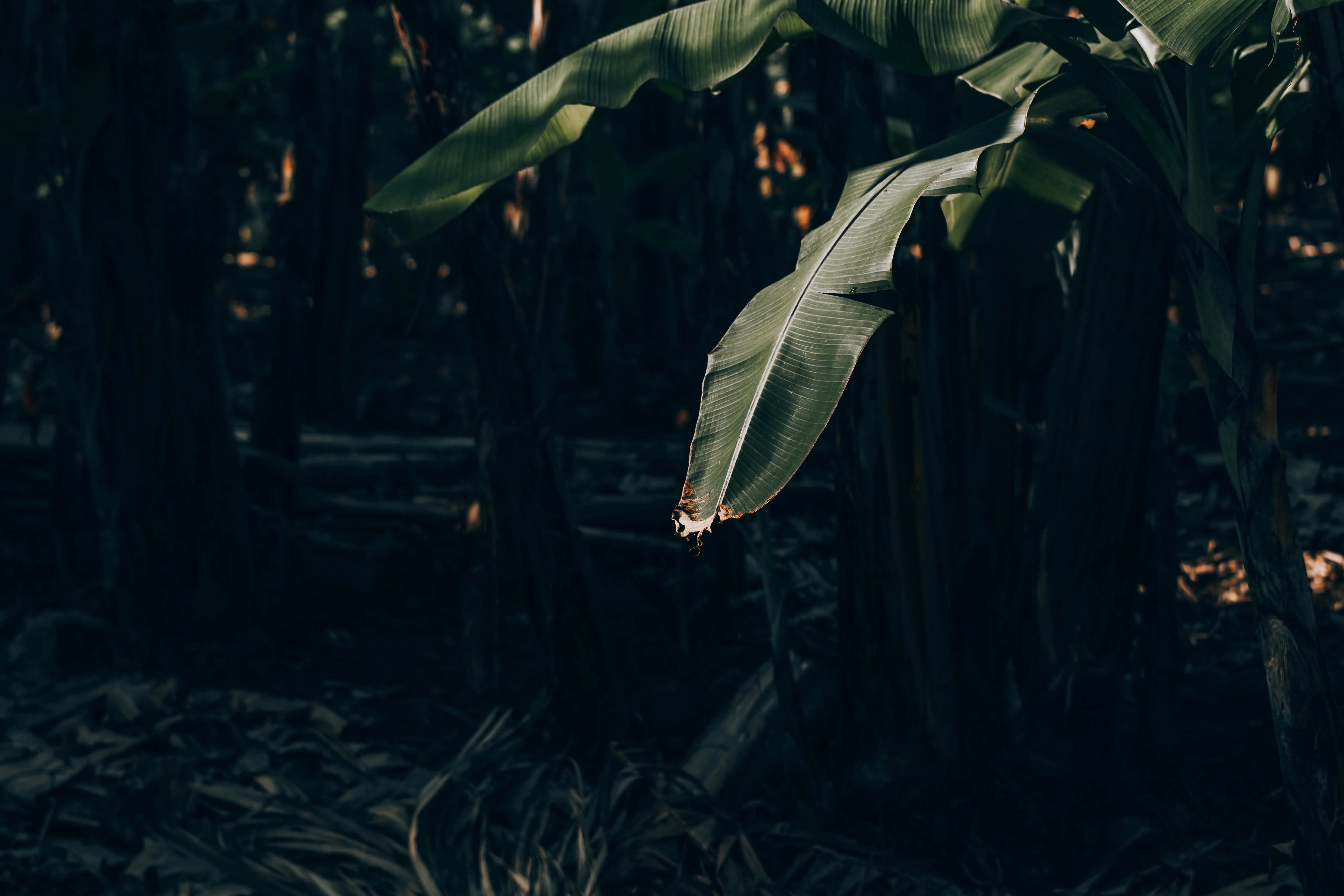 Exploring Exotic Ingredients and Seafood: A Culinary Adventure