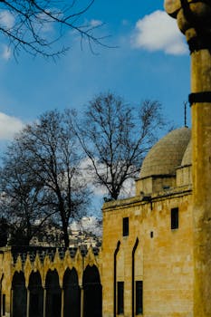 一座历史悠久的圆顶建筑，在蓝天下耸立，拱门和落叶的树木环绕其周围