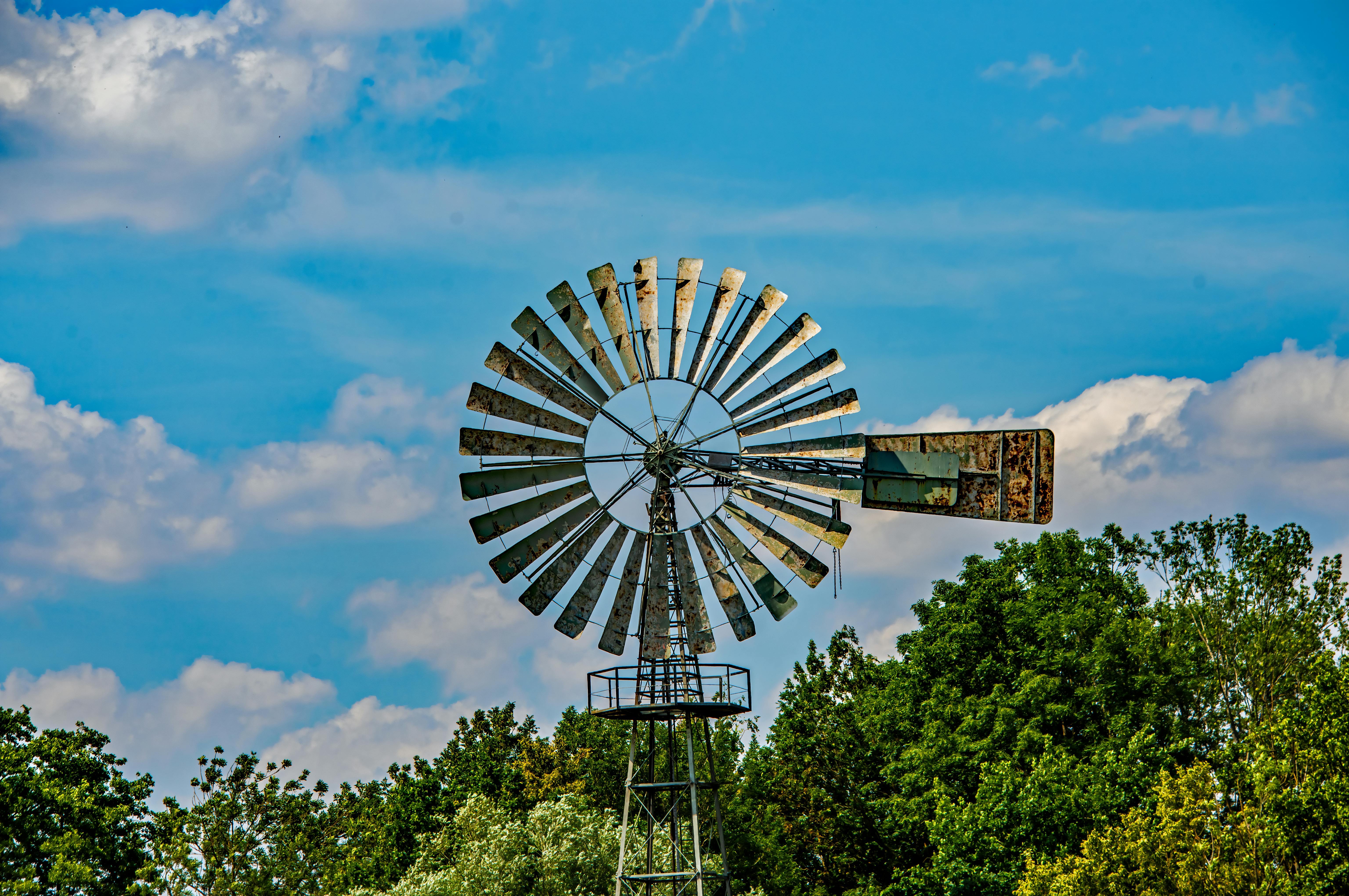 Home Botanical Remedies: 5 DIY Natural Air Fresheners