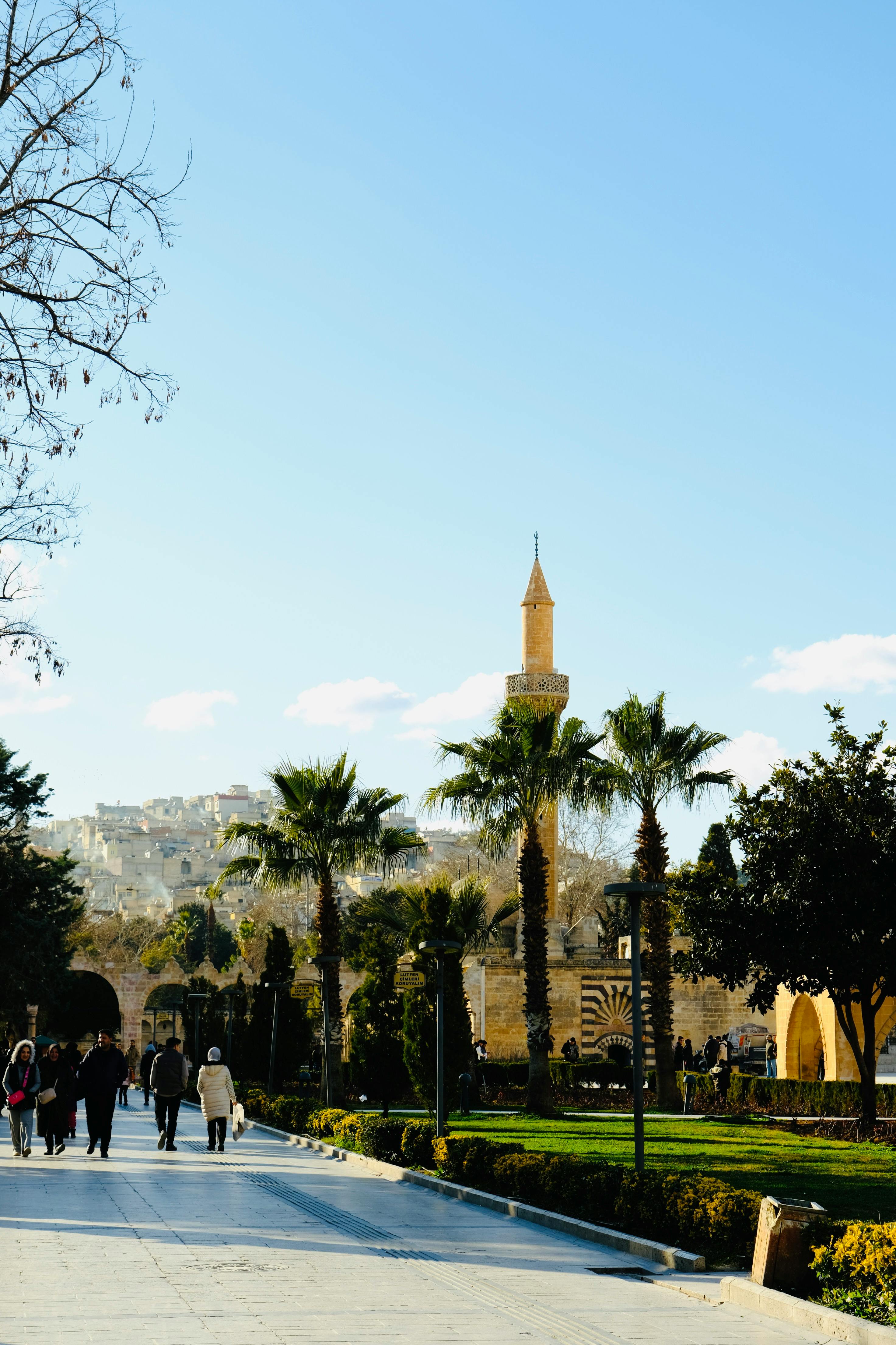 在晴朗的日子里，历史遗址的风景优美，有清真寺和棕榈树，自然与建筑的融合