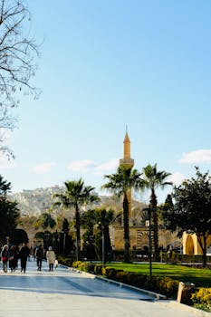 在晴朗的日子里，历史遗址的风景优美，有清真寺和棕榈树，自然与建筑的融合