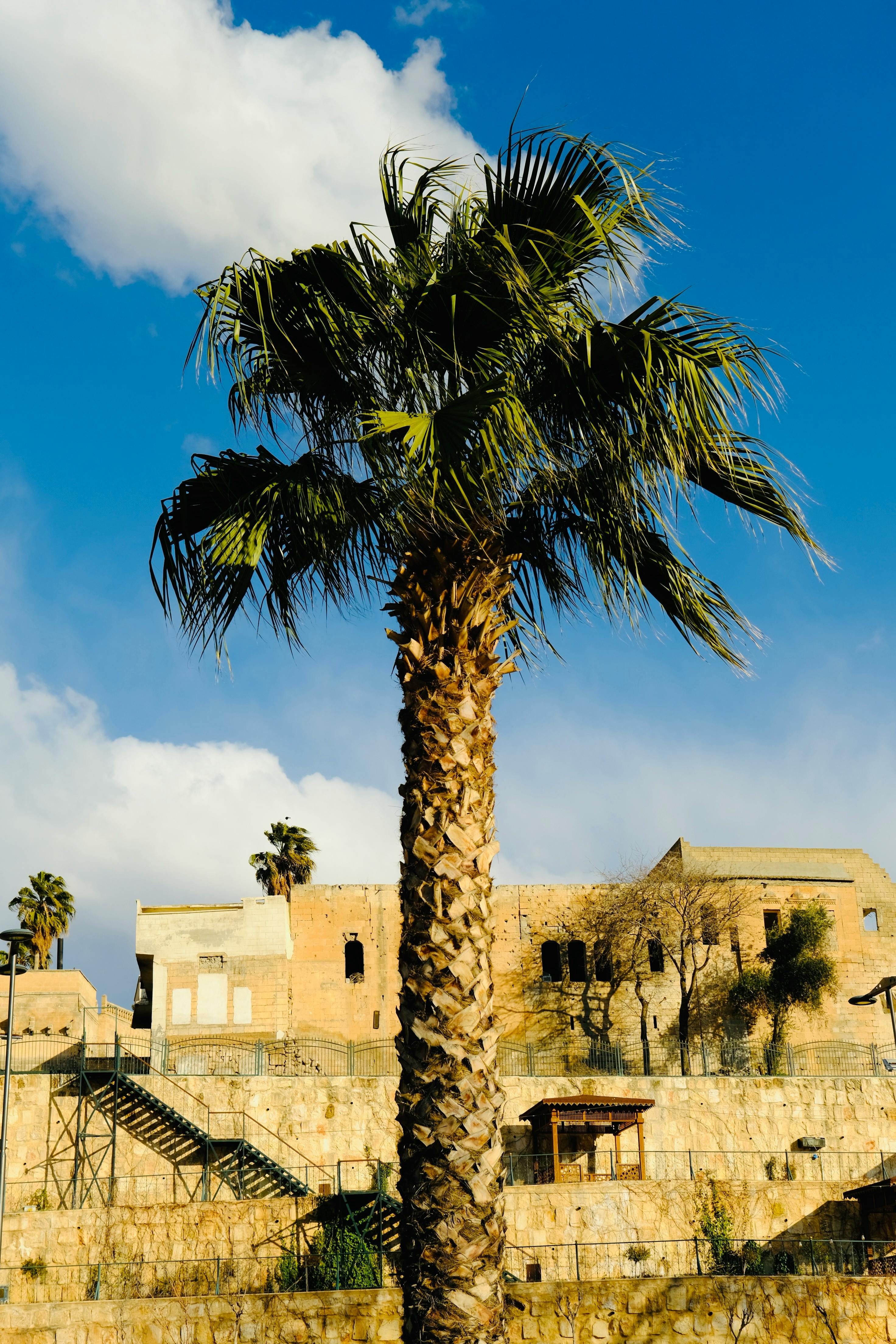 好的，我会按照您的要求进行修改