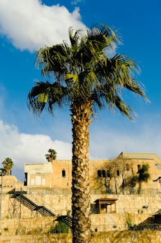 好的，我会按照您的要求进行修改