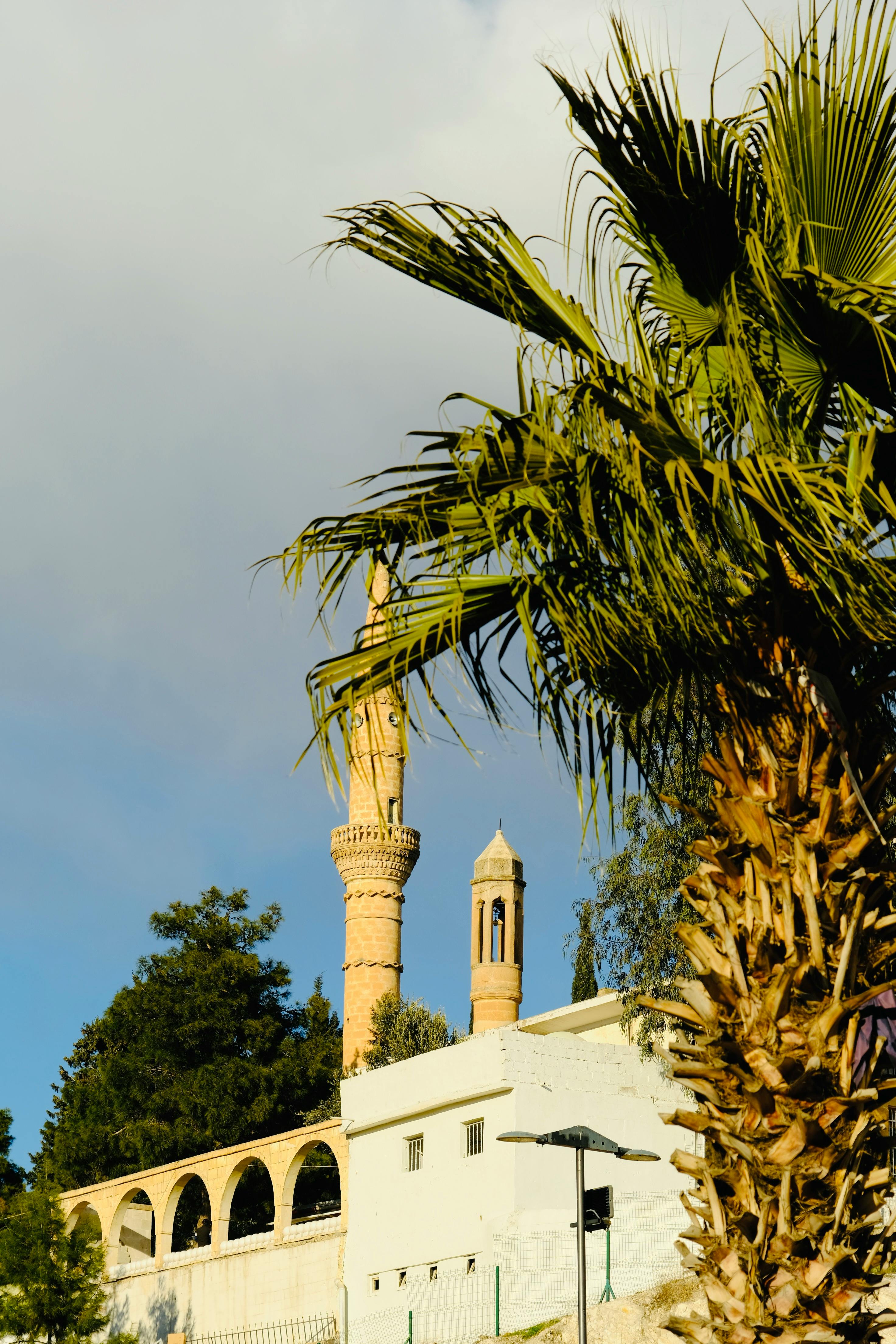 阳光照亮了棕榈树框架下的历史悠久的尖塔，捕捉到了宁静的建筑场景