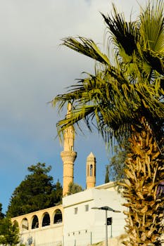 阳光照亮了棕榈树框架下的历史悠久的尖塔，捕捉到了宁静的建筑场景