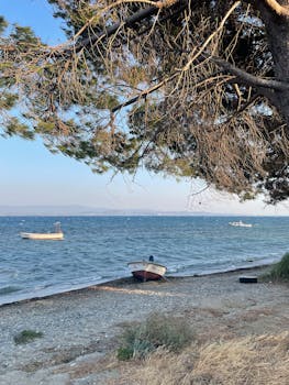 宁静的海滩景色，两艘船、轻柔的海浪和头顶上的松树