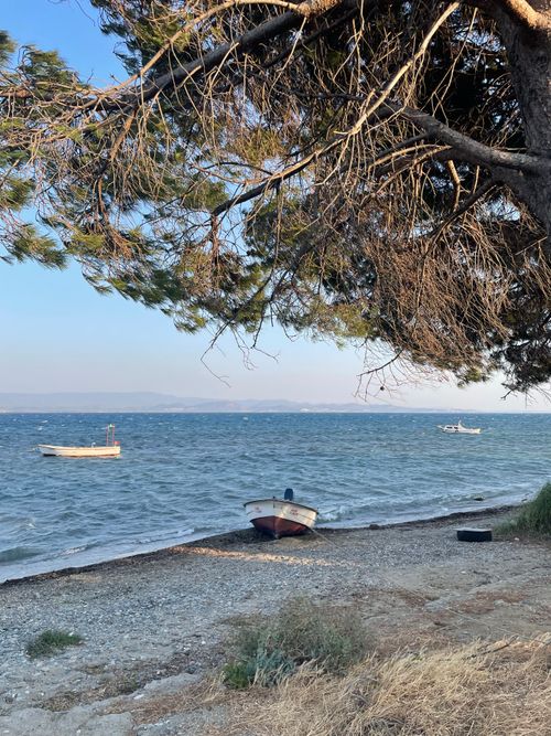 Free Peaceful beach scene with two boats, gentle waves, and a pine tree overhead. Stock Photo