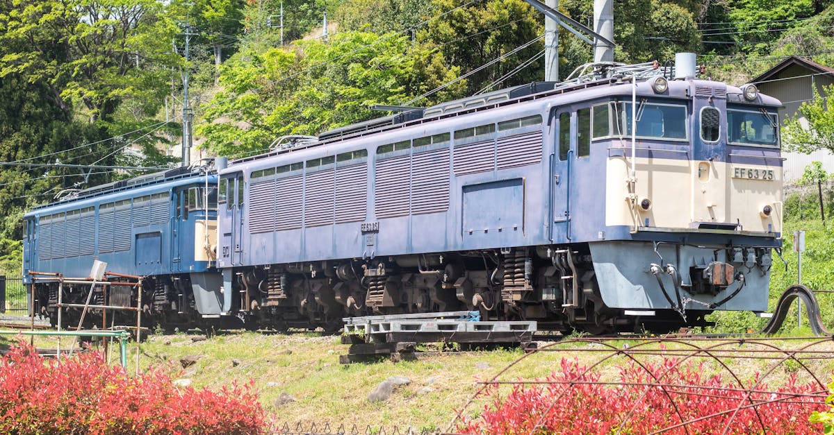 郝龍斌質疑AI網軍政治造假 鄭麗文呼籲黨內團結