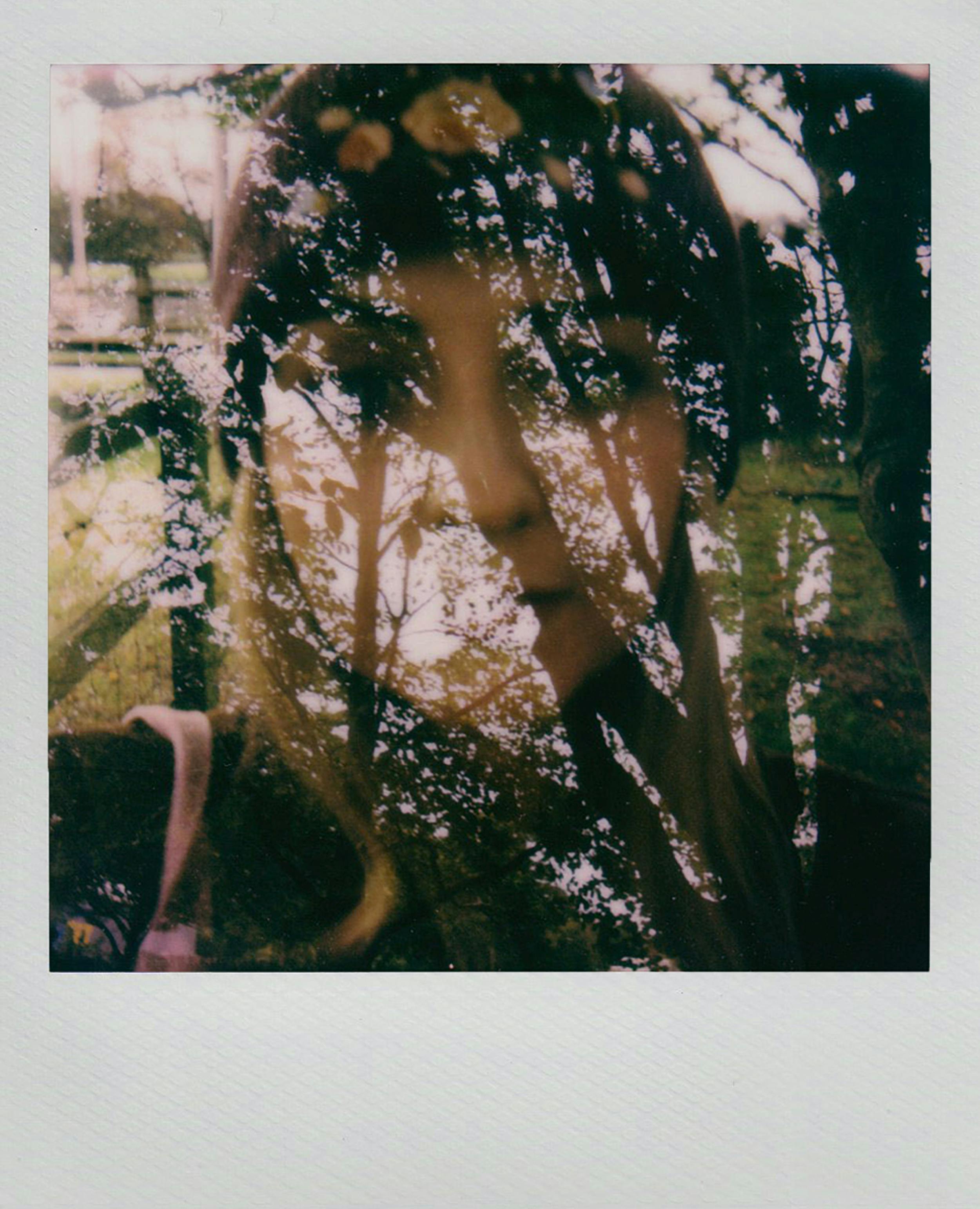 A creative double exposure blending a woman's face with nature elements.