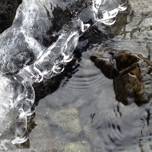 Foto profissional grátis de água, Canadá, gelo