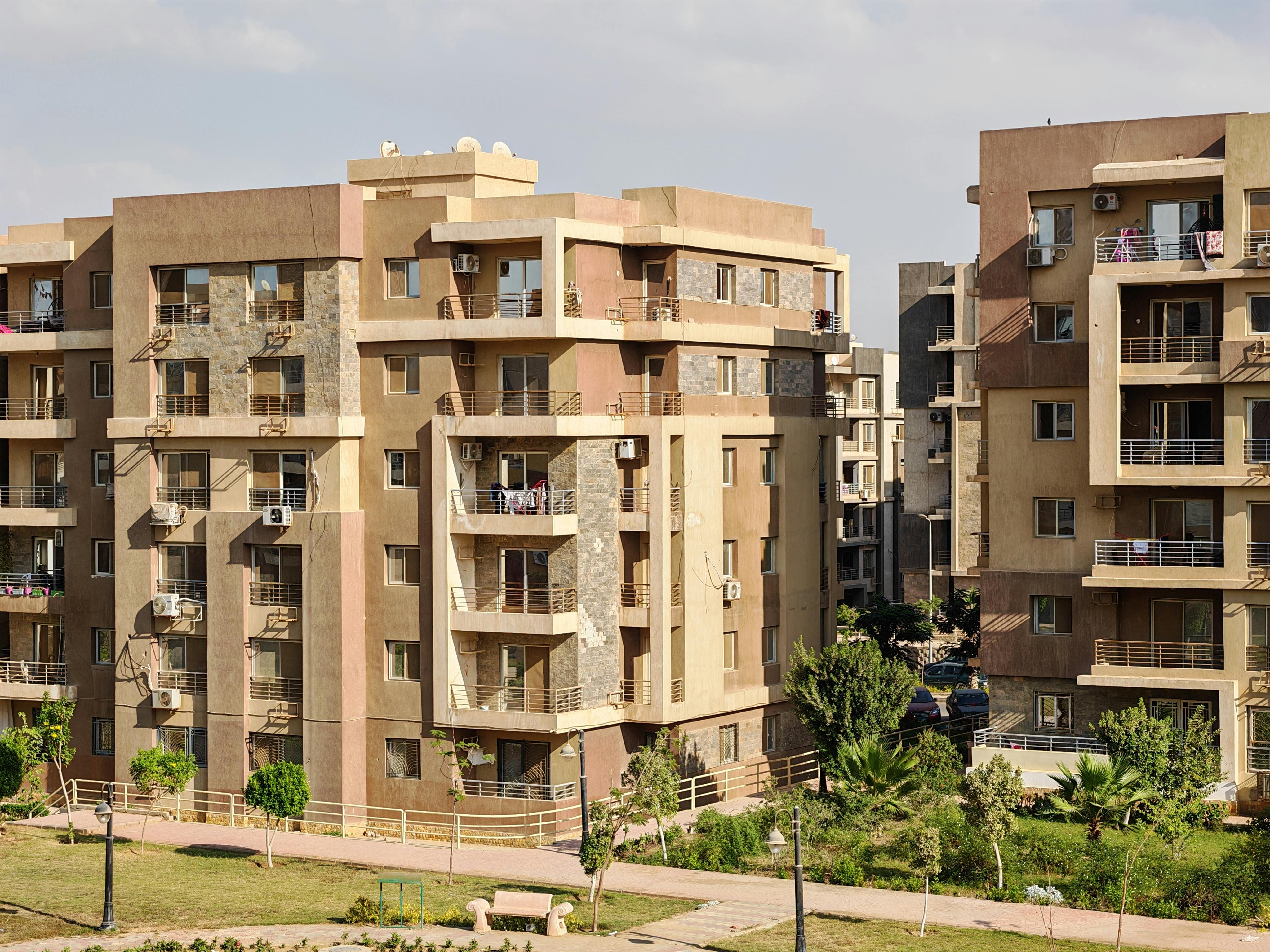 好的，请提供需要我进行语序优化的句子