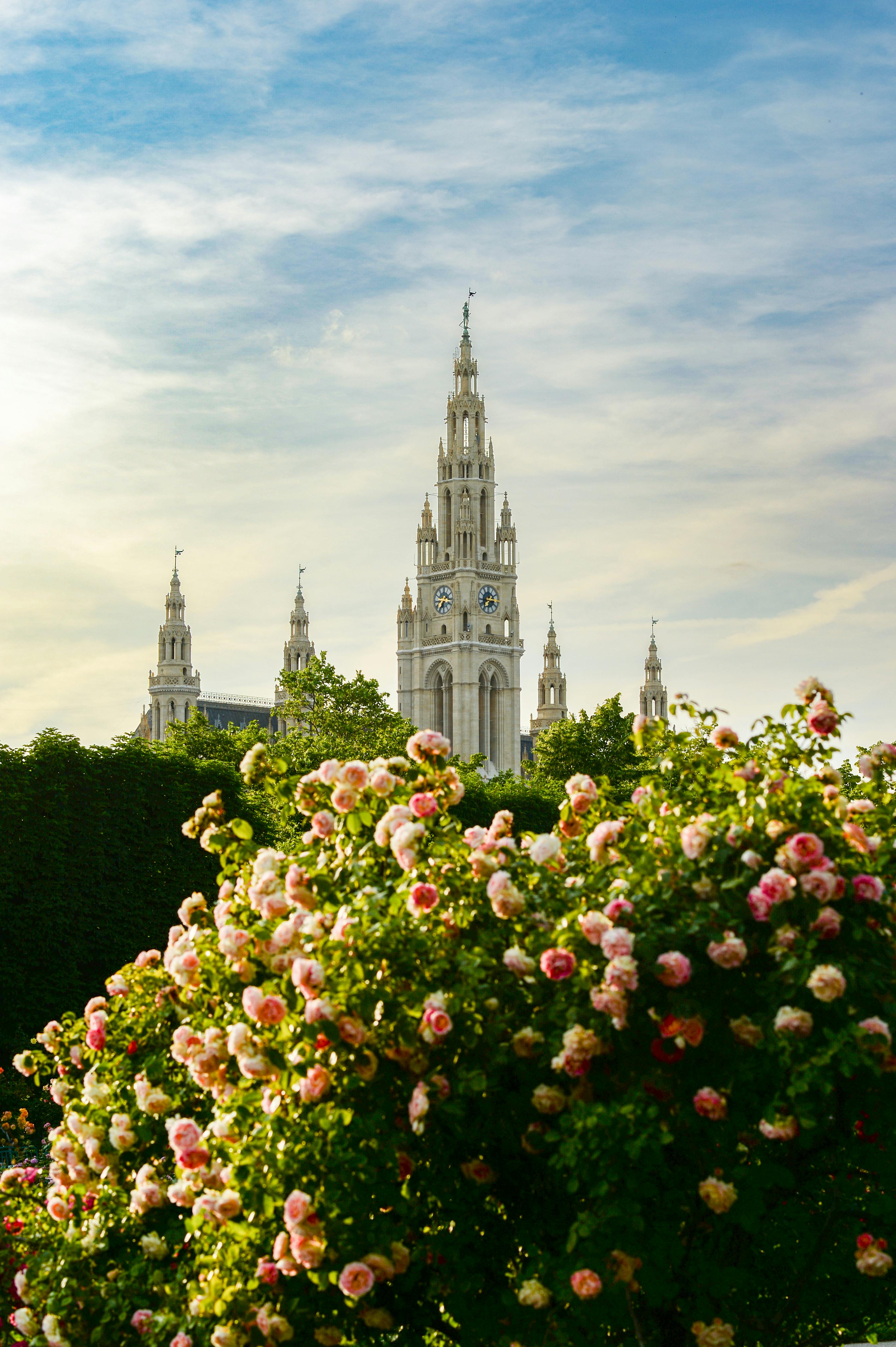 Highlights of Austria - Image 2