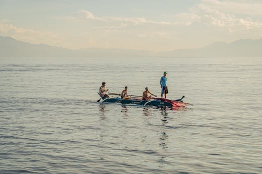 好的，请提供您需要优化的句子
