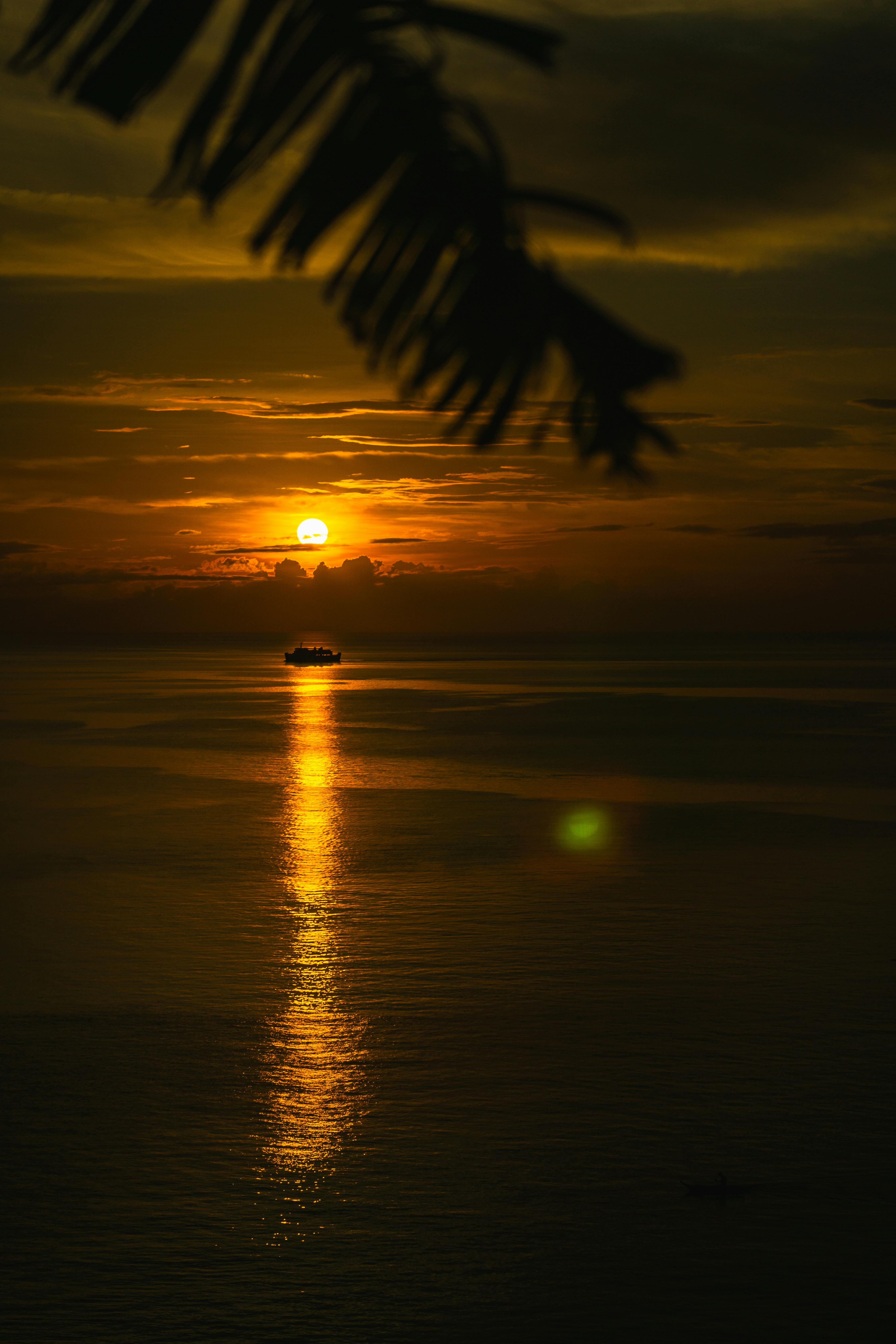 好的，我会根据您的要求进行句子优化