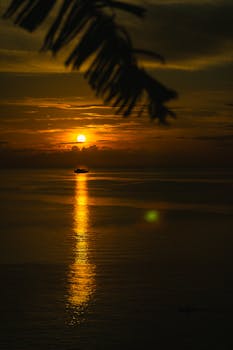 好的，我会根据您的要求进行句子优化