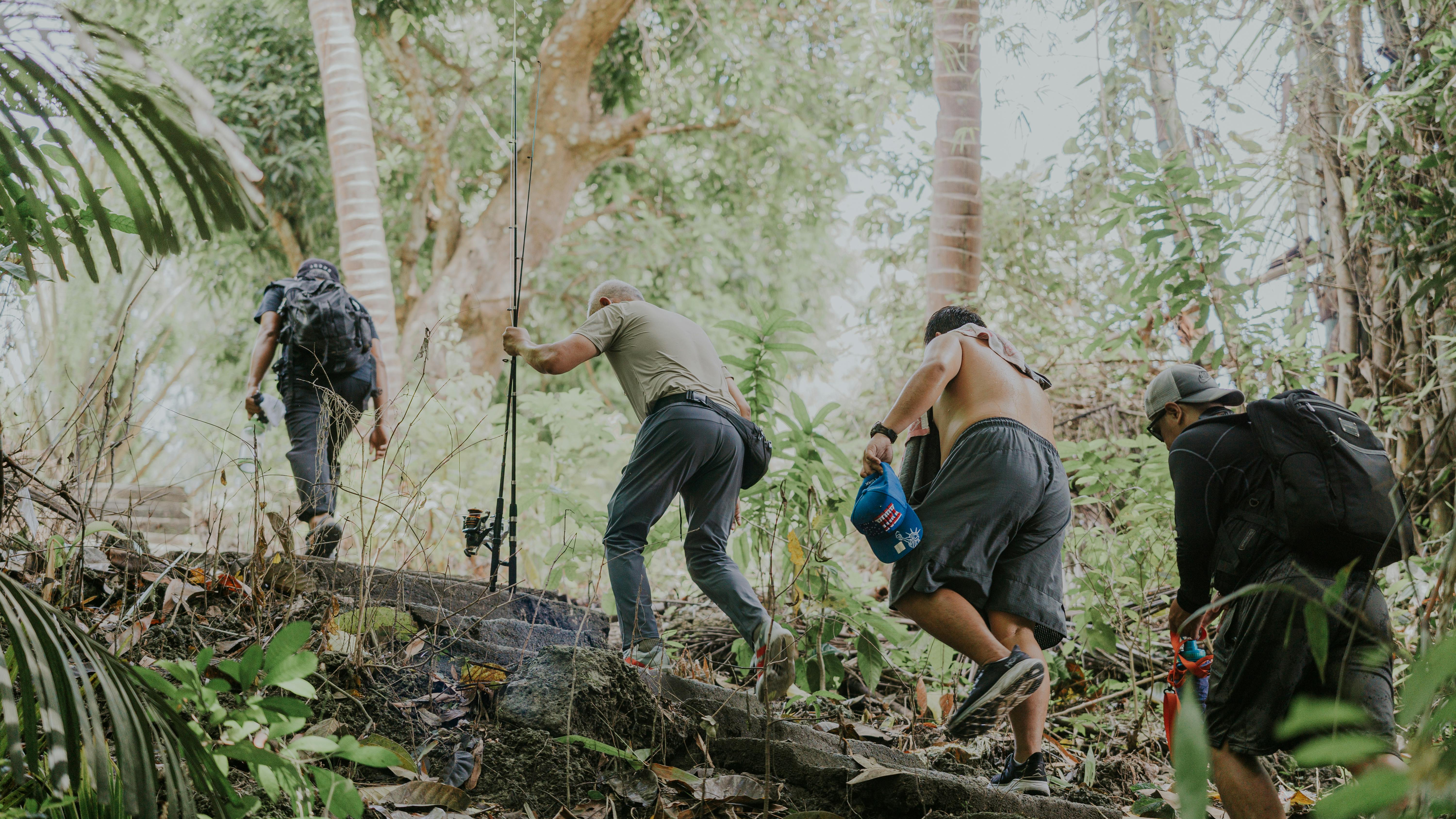 제주 사려니숲길 트레킹